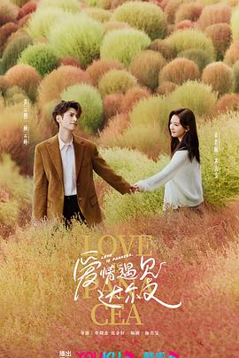 越秀区网站seo多少钱